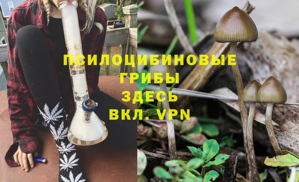прущая мука Покровск