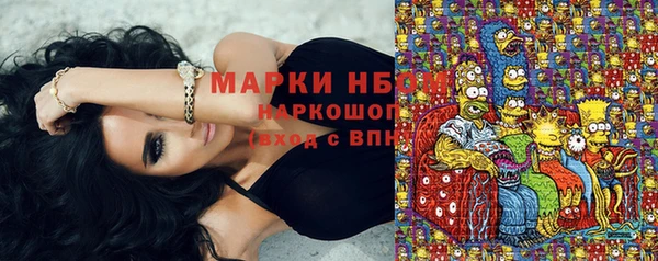 амф Покачи