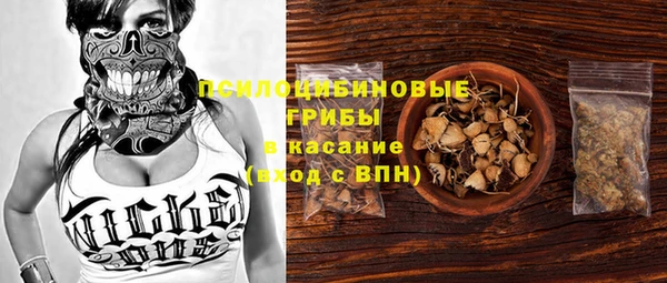 амф Покачи