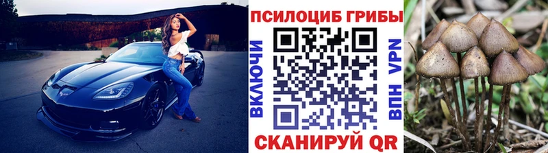 Галлюциногенные грибы прущие грибы  Купить  Инза 